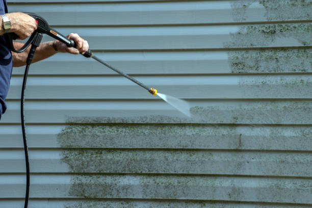 Best Residential Pressure Washing Services  in Oneonta, NY