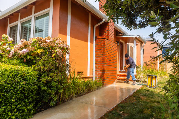 Best House Pressure Washing  in Oneonta, NY