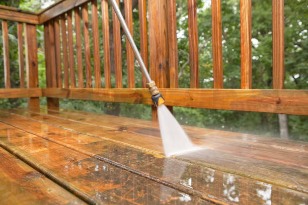 Best Concrete Pressure Washing  in Oneonta, NY