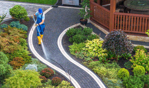 Best Roof Power Washing Services  in Oneonta, NY